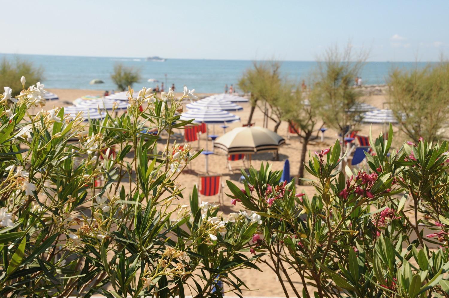 Hotel Fenix Cavallino-Treporti Luaran gambar
